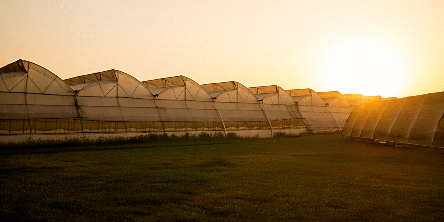 Kamala Farms greenhouse at sunset