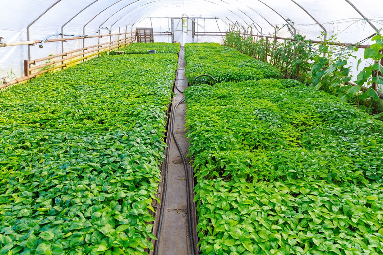 Why 10 Acres and Above