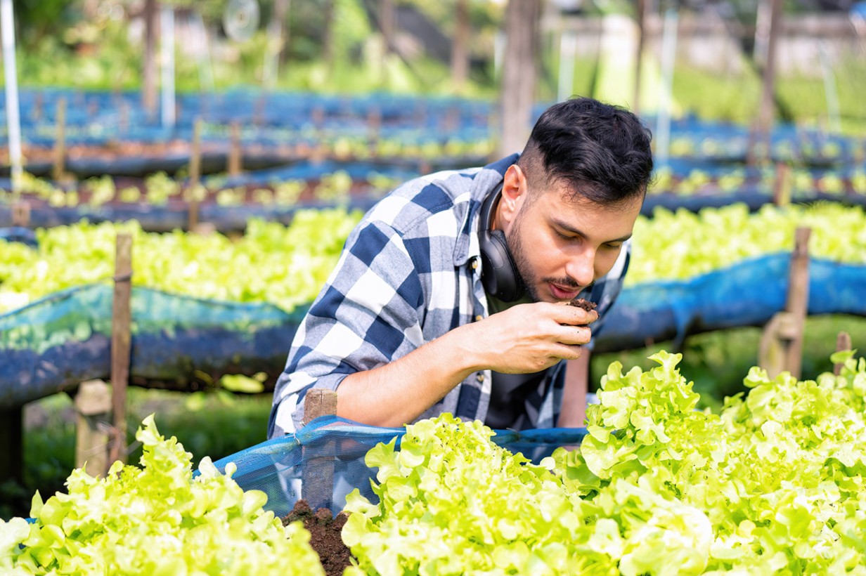 Why Choose Us as Your Buyback Partner